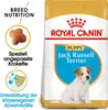 Royal Canin Jack Russell Junior, Welpe, Jack Russell Produktbild-Vorschau 1