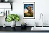 MuchoWow® MuchoWow® Gerahmtes Poster Bunter Himmel über Produktbild-Vorschau 4