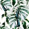Coloray Fototapete 250x104 cm An Einer Wand Latex Produktbild-Vorschau 2