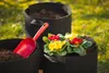Meister Pflanzsack 43 Liter 10 Gallonen 45 x Ø 35 cm 5 Produktbild-Vorschau 3