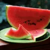 Wassermelonen Sugar Baby Samen - Citrullus lanatus - Produktbild-Vorschau 5