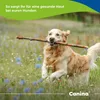 Canina Biotin Forte, Hund, Puder, Haut & Haarkleid, Produktbild-Vorschau 4