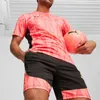 Puma Individualfinal Ff. Shorts 65926657 Herren Produktbild-Vorschau 5