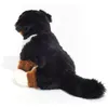 Berneński pies pasterski siedzący 29 cm Podgląd zdjęcia produktu 6