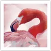 Poster - Poster ohne Rahmen - Flamingo Vogel Porträt - Produktbild-Vorschau 1