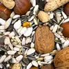 Supravit Eichhörnchen Futter 1kg | Futter mit Haselnüsse & Produktbild-Vorschau 2