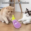 Katzenminze Spielzeug Katze,Lustiges Auberginen-Design, Produktbild-Vorschau 3
