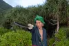 Samuraischwert Roronoa Zoro Wado Ichimonji One Piece Produktbild-Vorschau 4