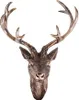 Geweih Hirschgeweih 10 Ender bronze Kunststoff 30x18x40 cm Produktbild-Vorschau 4