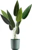 HowHomely | Pflanzkübel Aloe Texelle - 27 x 25,4 cm - Grün Produktbild-Vorschau 1