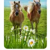 ESPiCO Bettwäsche Trendy Bedding Pferde Renforcé 135 cm x Produktbild-Vorschau 3
