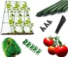 DIXIE STORE, Tomaten und Gurken Rankhilfe, Rankgitter Produktbild-Vorschau 4