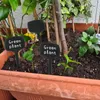 Solidchoice - Set van 50 Grote Plastic Plantenlabels voor Productafbeelding-voorbeeld 5