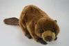 A plush toy beaver is shown against a white background. Náhled obrázku produktu