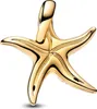 PANDORA Charm-hanger, zeester, collectie Moments, 14 karaat Productafbeelding-voorbeeld 3