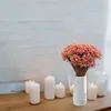 Glixia Getrocknete - (Glixia Marcela) - Rosa Produktbild-Vorschau 3