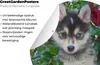 MuchoWow® Produktbild-Vorschau 4