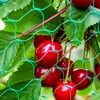 A close-up view of ripe cherries covered by a green net. Anteprima dell’immagine prodotto
