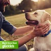 6 x 410 g Schecker Nassfutter - getreidefrei - glutenfrei - Produktbild-Vorschau 5