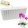 A white planter with purple orchids. Produktbild-Vorschau