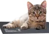 A kitten lying on a black heat pad. Anteprima dell’immagine prodotto