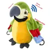 Pappagallo parlante in peluche per bambini e neonati, Anteprima dell’immagine prodotto 2