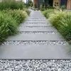 Dalmatiner-Zierkieselsteine als Füllung zwischen Trittplatten auf einem Gartenweg mit Ziergräsern Produktbild-Vorschau