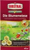 SUBSTRAL® Die Blumenwiese 800 g für 80 m² Produktbild-Vorschau 3