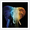 Poster - Poster ohne Rahmen - Bunt Elefant Fotografie - Produktbild-Vorschau 1