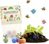 50 Blumenmurmeln im Tütchen 10 Tütchen á 5 bunte Seedbombs Produktbild-Vorschau 2