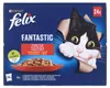 Felix Fantastische Ländergeschmäcker in Gelee - Nassfutter Produktbild-Vorschau 9