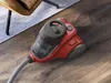 AEG LX5-2-ANIM, 750 W, Zylinder-Vakuum, Trocken, Beutellos, Produktbild-Vorschau 11