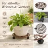 Esschert Design | Pflanzwagen - 29 cm - Rustikal - Mit 3 Produktbild-Vorschau 13