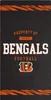 NFL Strandtuch PROPERTY OF Cincinnati Bengals Football Produktbild-Vorschau 1