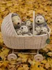 Bieco Igel Kuscheltier Baby Igel | Süßes Baby Geschenk Produktbild-Vorschau 12