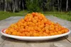 A plate of cloudberries sits on a wooden table outdoors, with trees in the background. Produktbild-Vorschau