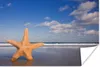 MuchoWow® Poster Seestern - Orange - Sand 180x120 cm - Produktbild-Vorschau 1