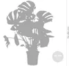 Bloomique - Monstera Deliciosa - Monstera - Plantes Voir les images du produit 5