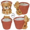 Übertopf Rudi Hund Blumen Pflanzen Magnesiumoxid innen Produktbild-Vorschau 4