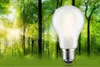 Paulmann Eco-Line Filament 230V LED Birne Einzelleuchte Produktbild-Vorschau 6