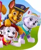 Dekokissen Paw Patrol -  Kinder Formkissen Kuschelkissen 34 Produktbild-Vorschau 3