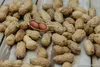 Erdnüsse ganz in der Schale | 100g | Nüsse | Nusskerne | Produktbild-Vorschau 2