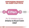 Diagram showing the life stages of a cat and corresponding Royal Canin products. Voir les images du produit