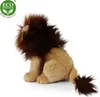 RAPPA Peluche lion assis 25 cm ECO-FRIENDLY Voir les images du produit 16