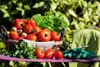 Kurzak getrockneter Naturdünger effektiv 10l Produktbild-Vorschau 3