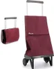 Passeggino Plegamatic Mf 2 Wheel 40l Folding Market Anteprima dell’immagine prodotto 2