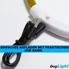 DogLight LED obojek pro psy USB svítící obojek univerzální Náhled obrázku produktu 6