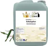 Dampfbad Emulsion Eukalyptus - 5 Liter - gebrauchsfertig Produktbild-Vorschau 1