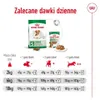 Royal Canin Mini Ageing 12+, Adult, Klein (5-10 kg), Mini Produktbild-Vorschau 9