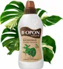 Kvapalné hnojivo pre zelené rastliny Biohumus 1l Náhľad obrázku produktu 4